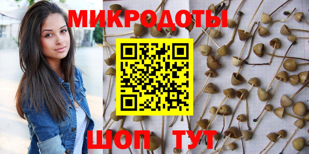 Галлюциногенные грибы ЛСД Дедовск