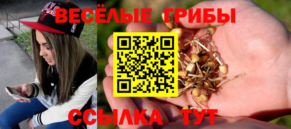 Дедовск  Псилоцибиновые грибы мухоморы  Вход с VPN 